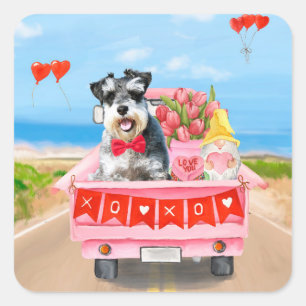 Sticker Carré Schnauzer Saint-Valentin Camion Cœurs