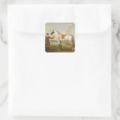 Sticker Carré Scipio, Colonel Roche's Spotted Hunter, vers 1750  (Sac)