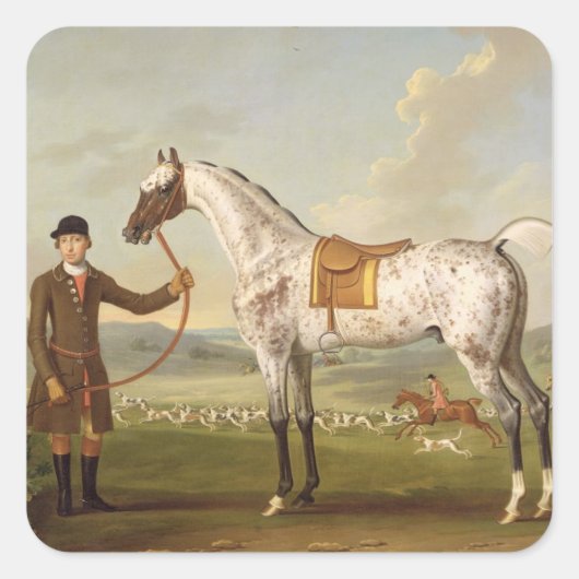 Sticker Carré Scipio, Colonel Roche's Spotted Hunter, vers 1750  (Devant)