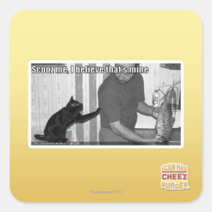 Sticker Carré Scooz moi, je crois que c'est le mien