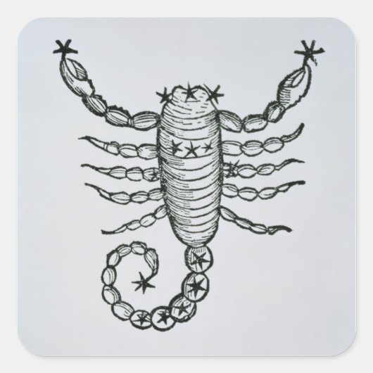 Sticker Carré Scorpio (le Scorpion) une illustration de 'P (Devant)