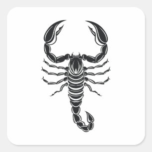 Sticker Carré Scorpion