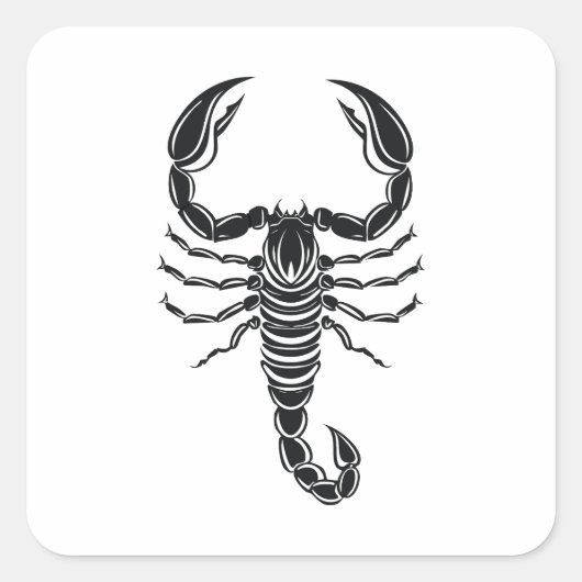 Sticker Carré Scorpion (Devant)