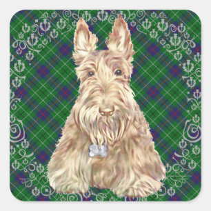 Sticker Carré Scottie Duncan Tartan