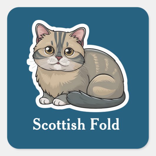 Sticker Carré Scottish Fold (Devant)