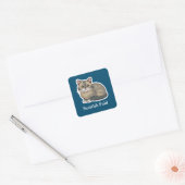 Sticker Carré Scottish Fold (Enveloppe)