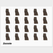 Sticker Carré Scottish Fold (18 mois) assis (Feuille)