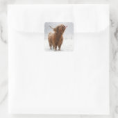 Sticker Carré Scottish Highland Cow Licking Snowflakes (Sac)