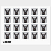 Sticker Carré Scottish Terrier (Feuille)