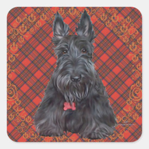 Sticker Carré Scottish terrier on tartan