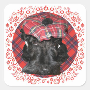 Sticker Carré Scottish terrier on tartan