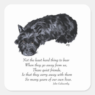 Sticker Carré Scottish Terrier Rainbow Bridge