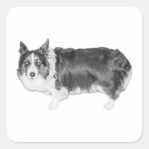 Sticker Carré Scoutisme Snack Certifié