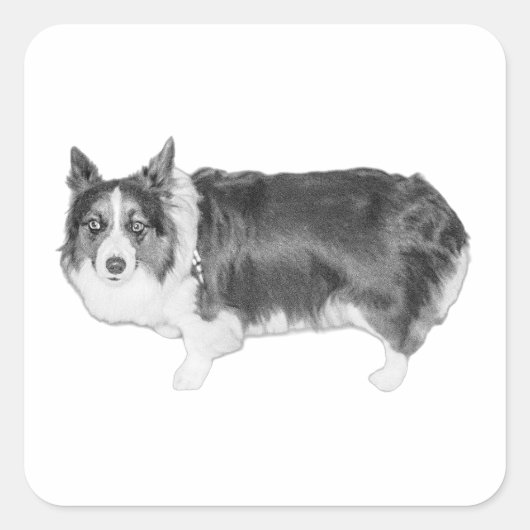 Sticker Carré Scoutisme Snack Certifié (Devant)