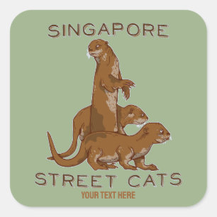 Sticker Carré Sea Otter Singapore Street Cats