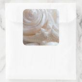 Sticker Carré Sea Shell & Starfish Arrière - plan - Beach Shells (Sac)