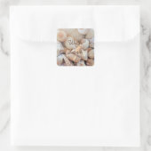 Sticker Carré Sea Shells, Summer Beach Exotic Troptic Romantic (Sac)
