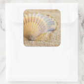Sticker Carré Seashell (Sac)