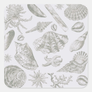 Sticker Carré Seashell Soft Antique Art Beach Shops