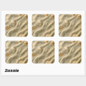 Sticker Carré Seashells (Feuille)