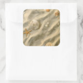 Sticker Carré Seashells (Sac)