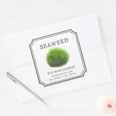Sticker Carré Seaweed Soy Wax Candle Label (Enveloppe)