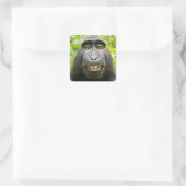 Sticker Carré Selfie de singe (Sac)