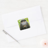 Sticker Carré Selfie de singe (Enveloppe)