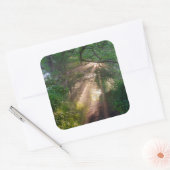 Sticker Carré sentier forestier (Enveloppe)