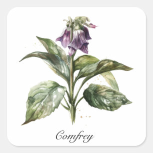 Sticker Carré Serene Watercolor Comfrey, personnalisée
