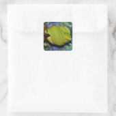 Sticker Carré Serpent de Boa Emerald Tree (Sac)