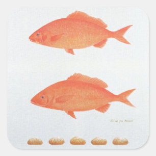 Sticker Carré Sert Cinq Mille 2005