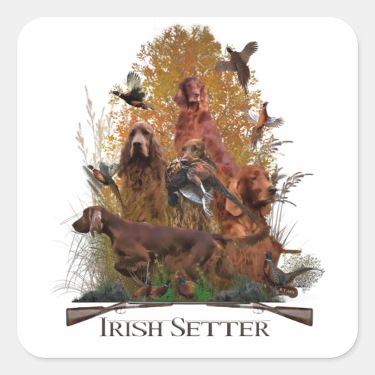 Sticker Carré Setter irlandais avec faisan (Devant)