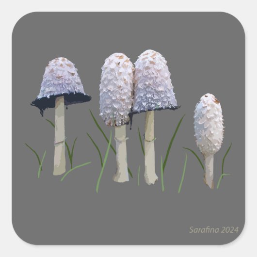 Sticker Carré Shaggy Mane Coprinus comatus (Devant)