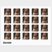 Sticker Carré Shar Pei Chien intelligent avec conception de livr (Feuille)