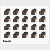 Sticker Carré Shar Pei chiot yawning, studio photo (Feuille)