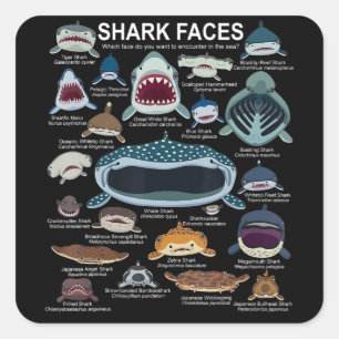 Sticker Carré Shark faces Which Face Do You Want To Encounter