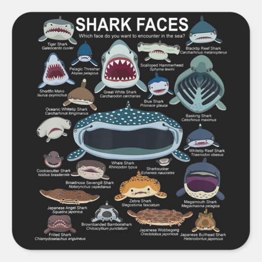 Sticker Carré Shark faces Which Face Do You Want To Encounter (Devant)