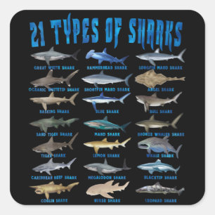 Sticker Carré Shark Lovers 21 Types of Sharks Ocean Animal