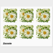 Sticker Carré Shasta Daisy Vintage semis (Feuille)