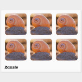 Sticker Carré Shell Bokeh |Grèce (Feuille)