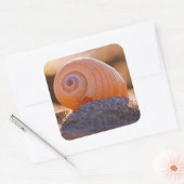 Sticker Carré Shell Bokeh |Grèce (Enveloppe)
