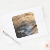 STICKER CARRÉ SHELL GÉANT TORTOISE (Enveloppe)