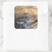 STICKER CARRÉ SHELL GÉANT TORTOISE (Sac)