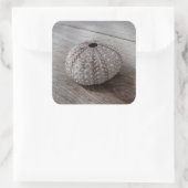 Sticker Carré Shell On Top Of A Wooden Table (Sac)