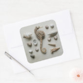 Sticker Carré Shells (Enveloppe)