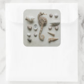 Sticker Carré Shells (Sac)