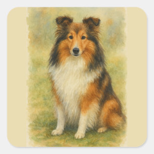 Sticker Carré Shetland Sheepdog Assis Aquarelle