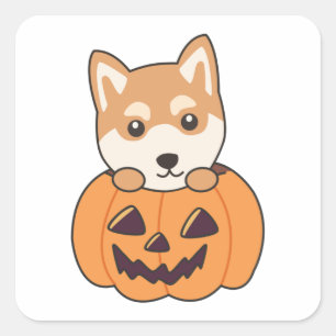 Sticker Carré Shiba Inu En Chiens Doux Citrouille Joyeux Hallowe