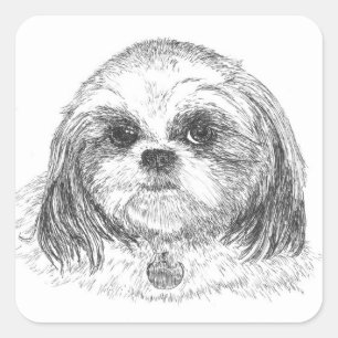 Sticker Carré Shih Tzu